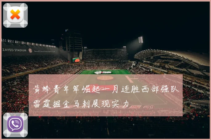 黄蜂青年军崛起一月连胜西部强队雷霆掘金马刺展现实力